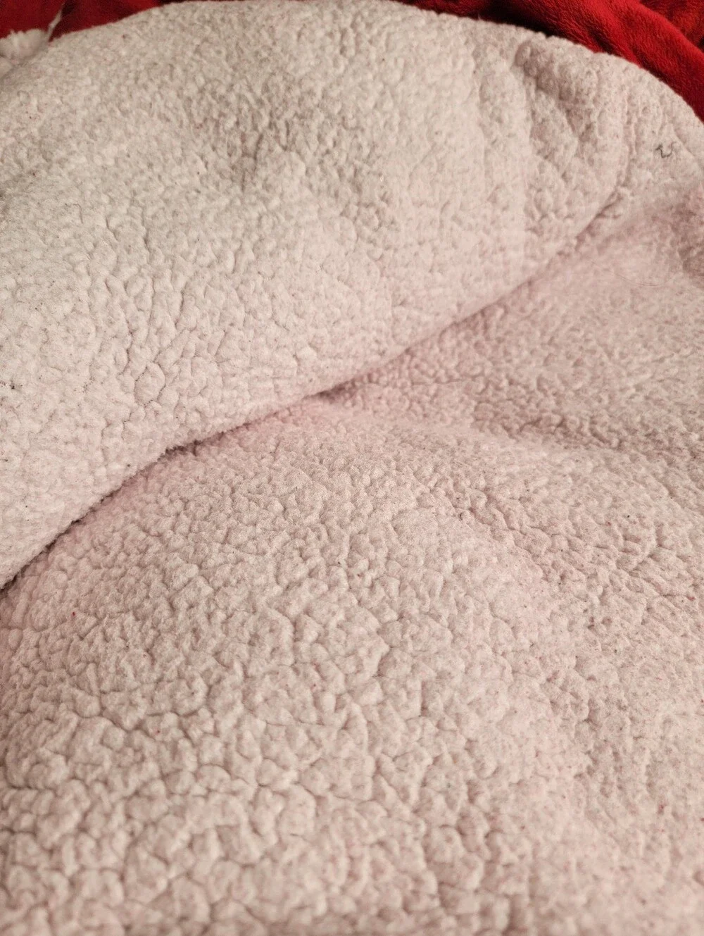 Sherpa comforter & shams set